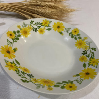 Soup  Bowl
